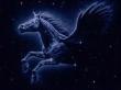 Avatar de pegaso_na